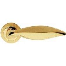 Delfino Linea Cali