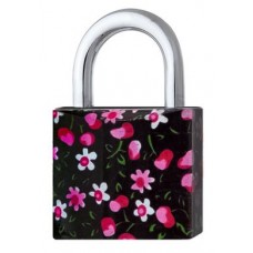 Замок навесной TOKOZ CHERRY 40 3KEY TK1 M R shackle 22мм 6,2мм